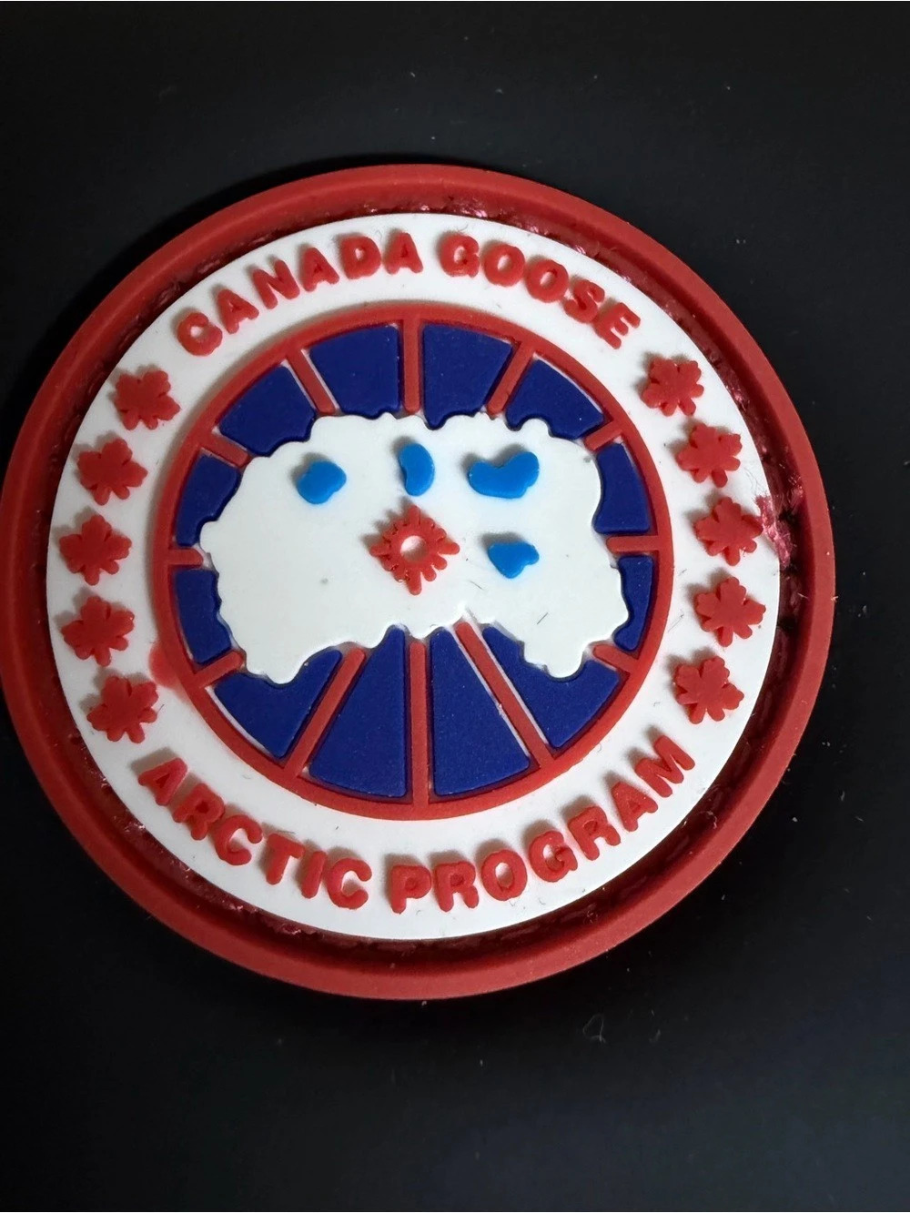 Canada Goose Sunglasses Case – Arctic Program – Black – COA Like New